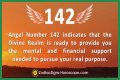 
ANGEL NUMBER 142
