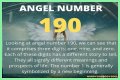 
ANGEL NUMBER 190
