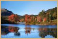 Best Fall Foliage Cruise Destinations